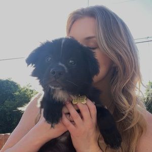 Meet your Posher, Julia